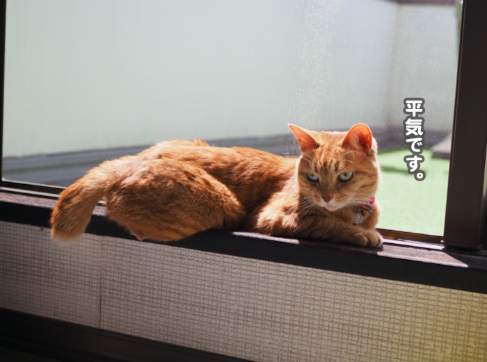 3日ブログ５