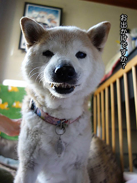 4日ブログ４