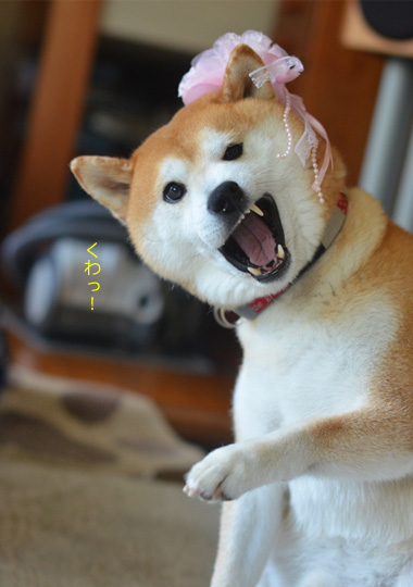 23日ブログ9.jpg