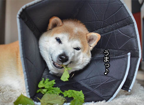 24日ブログ6.jpg