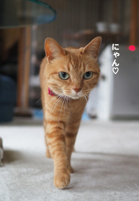 18日ブログ7