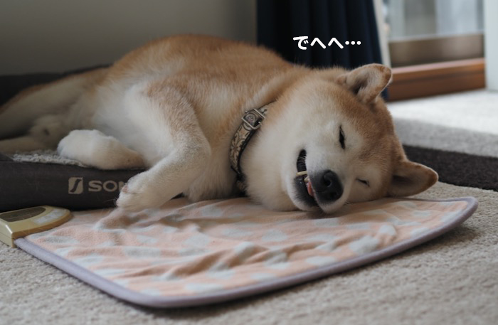 20日夕ブログ３