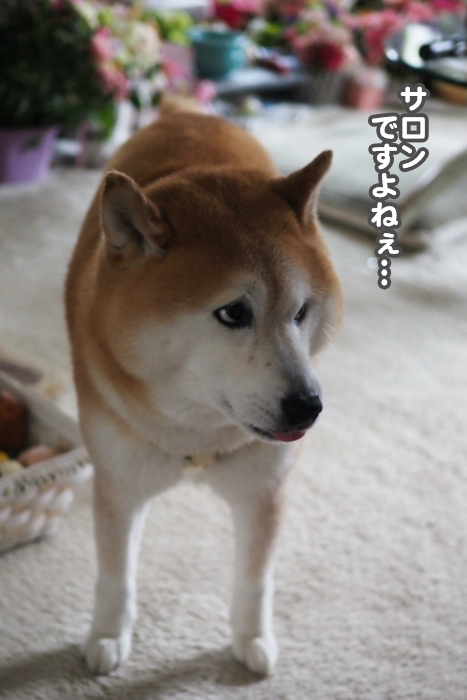20日ブログ６