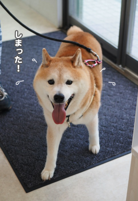 21日夕ブログ９