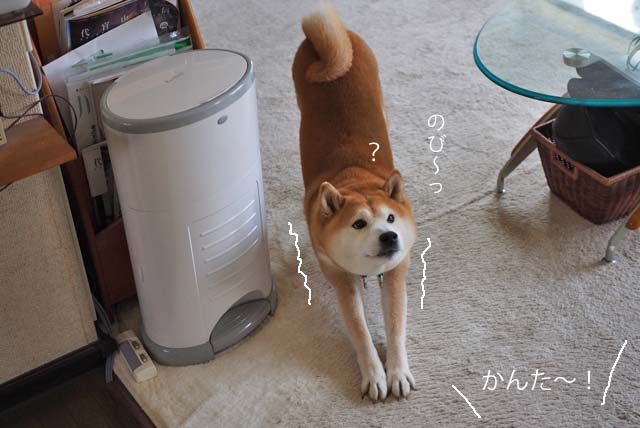20日ブログ２