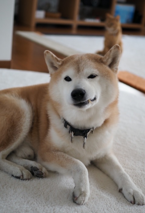 23日ブログ３