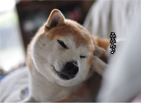 24日ブログ12.jpg