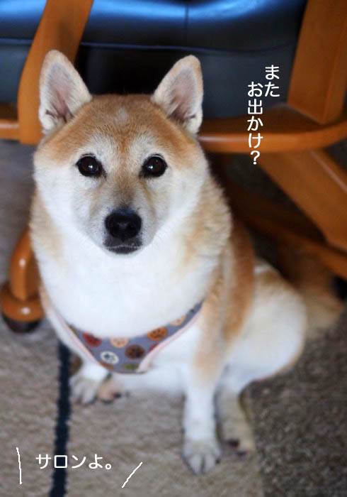 5日ブログ９
