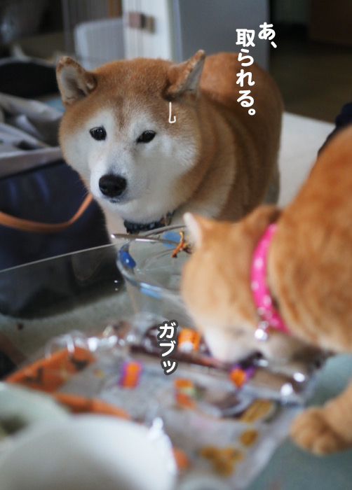 26日ブログ１０