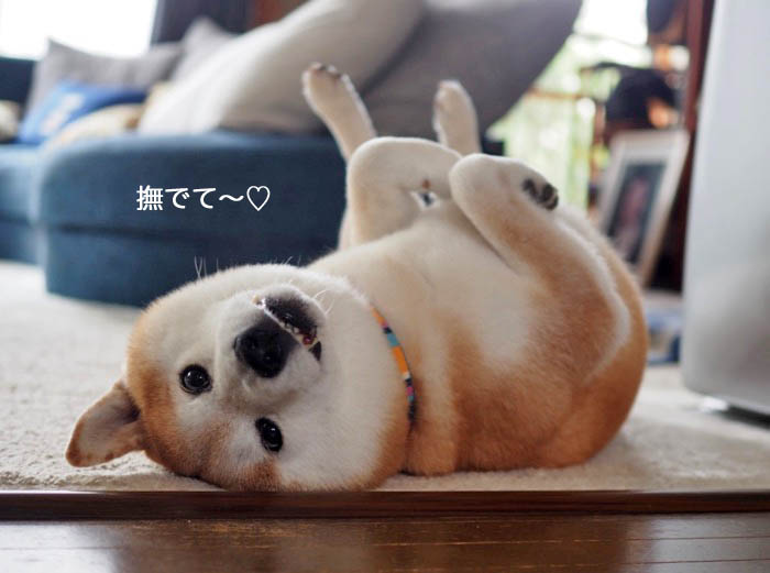 19日ブログ６