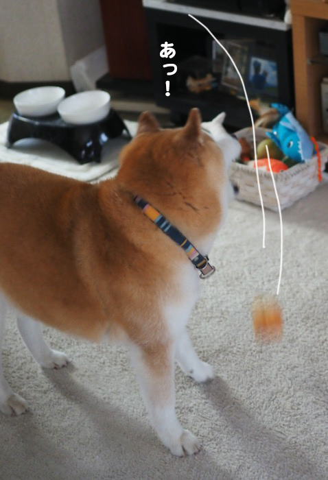 22日ブログ４