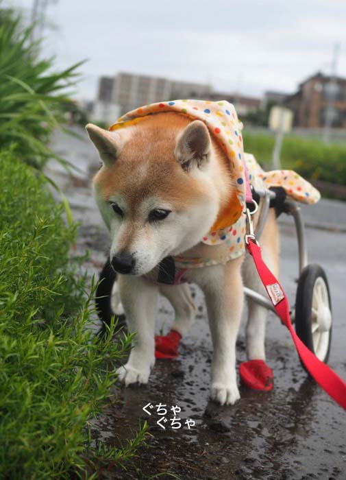 19日ブログ5