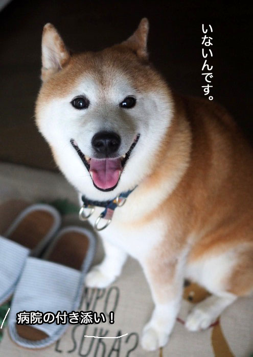 4日夜ブログ４