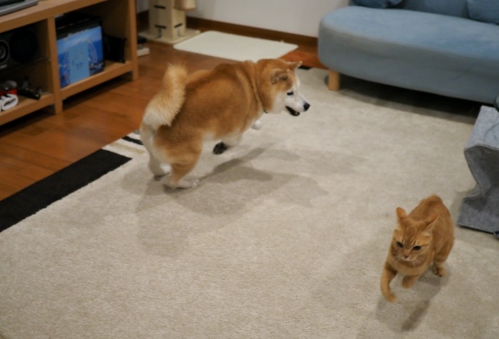 22日夕ブログ２