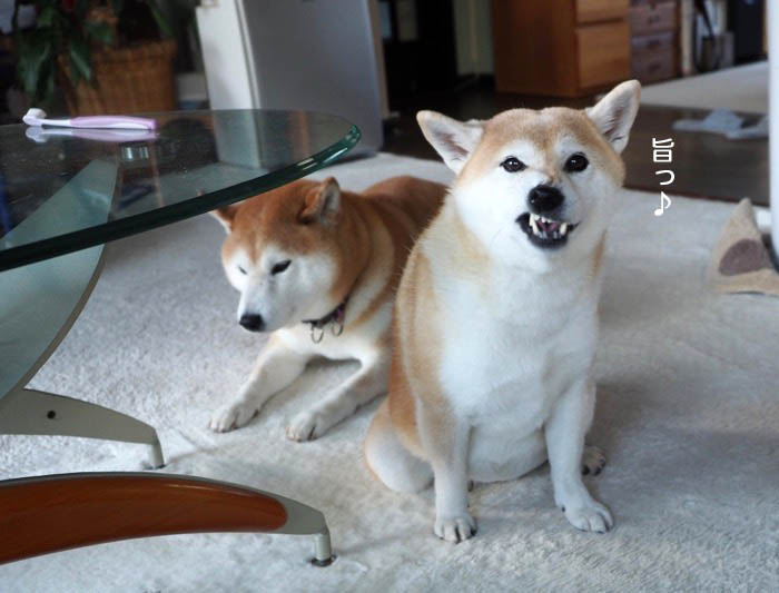 10日ブログ３