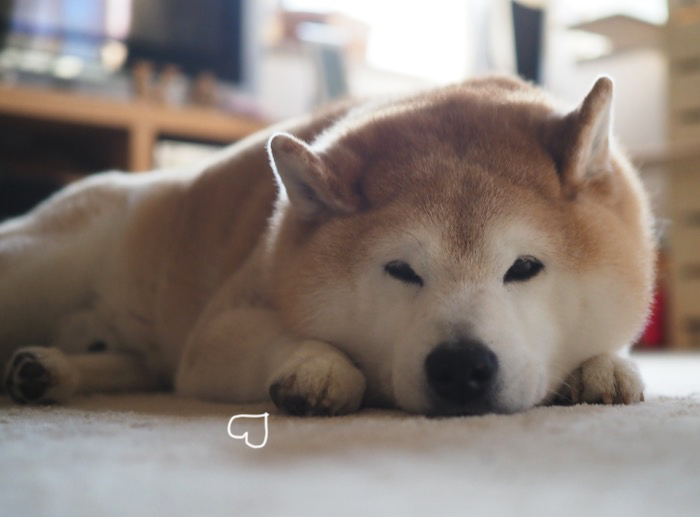 22日ブログ２