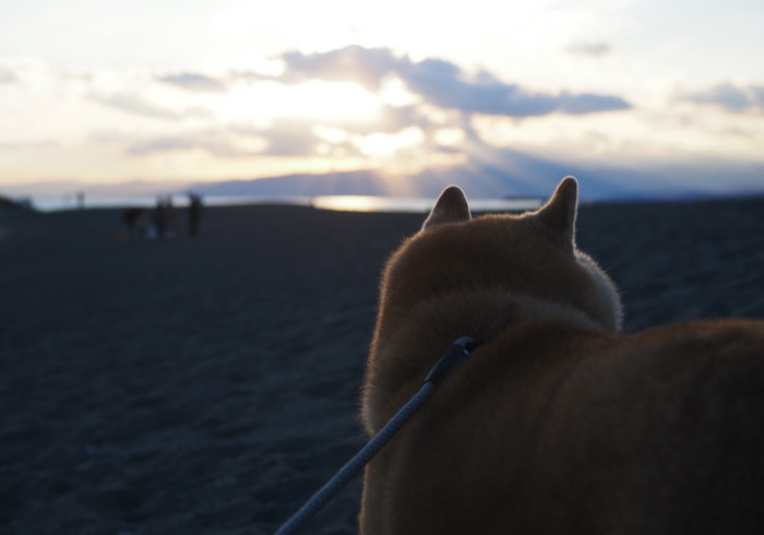 7日夕ブログ6