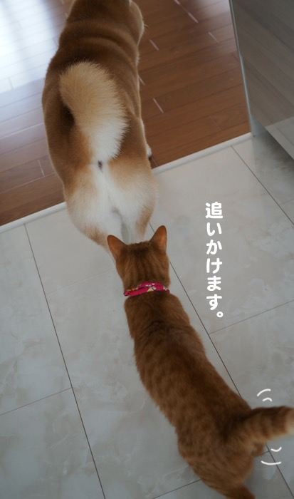 13日夕ブログ６