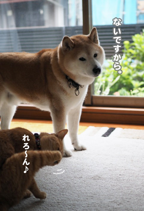 26日夕ブログ４