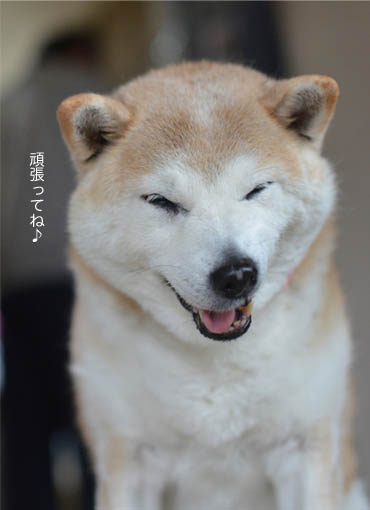 5日ブログ8.jpg