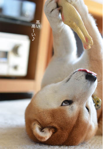 16日ブログ７.jpg