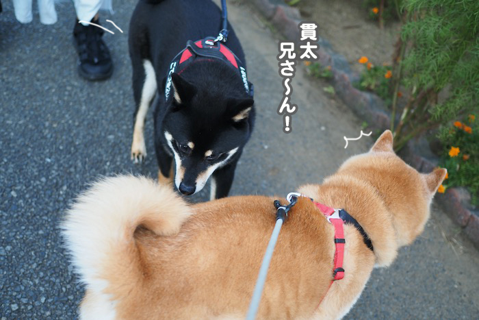 26日ブログ２