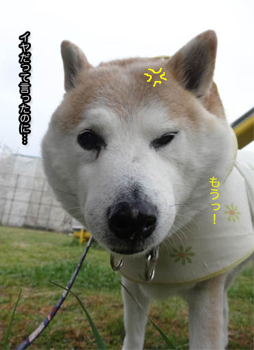 1日ブログ３.jpg