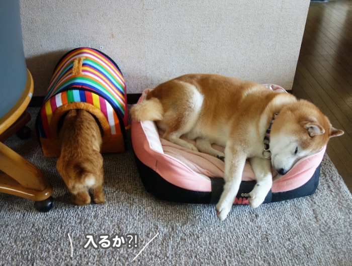 4日ブログ２