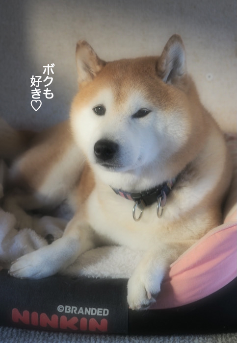 30日夜ブログ３