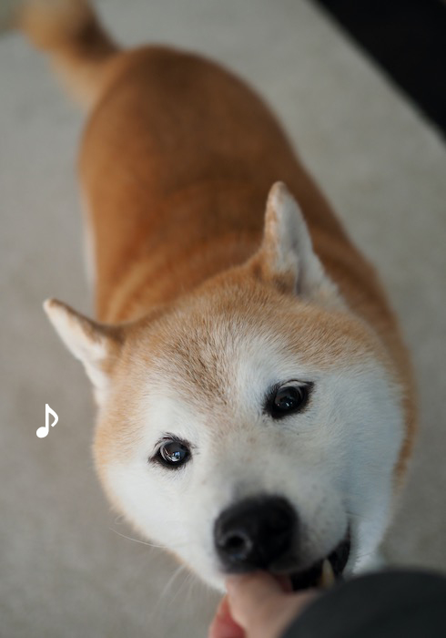 11日夕ブログ３