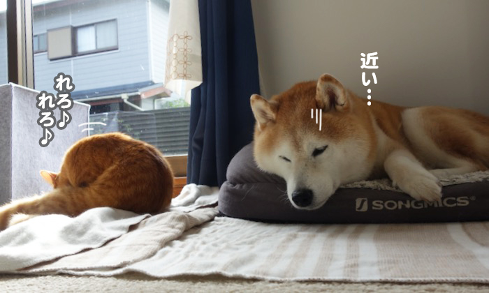 28日夕ブログ２