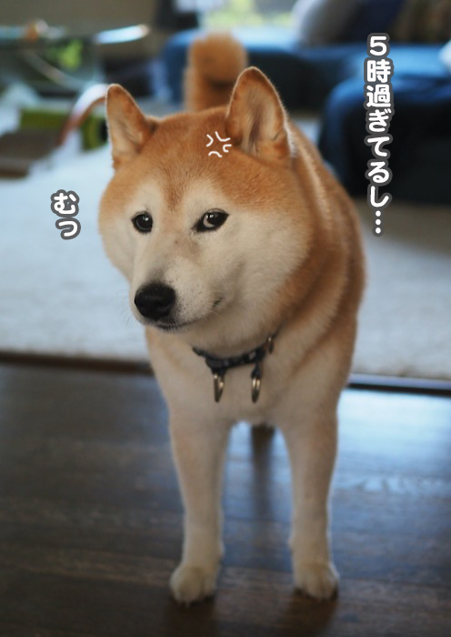 24日夕ブログ６