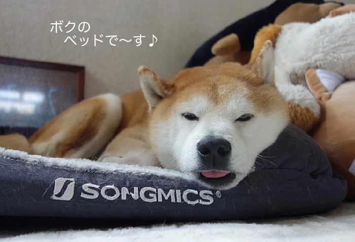 2日夜ブログ１
