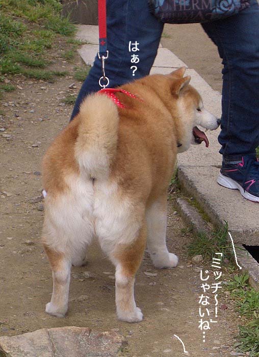 14日ブログ１０