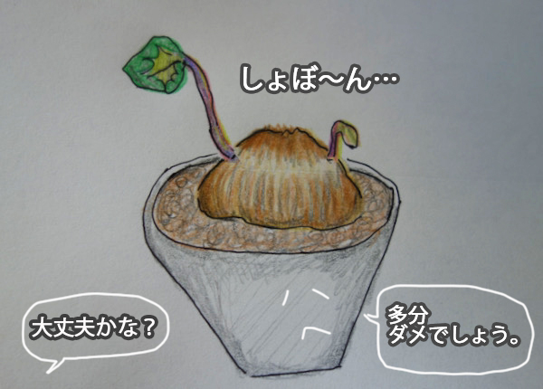 28日午前ブログ２