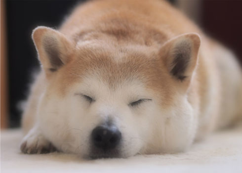 28日ブログ8.jpg