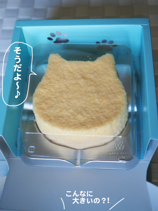 7日午後ブログ７