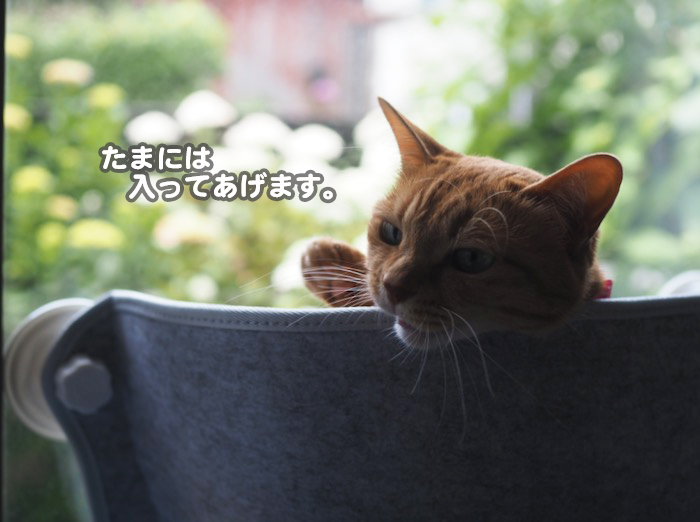 6日ブログ3