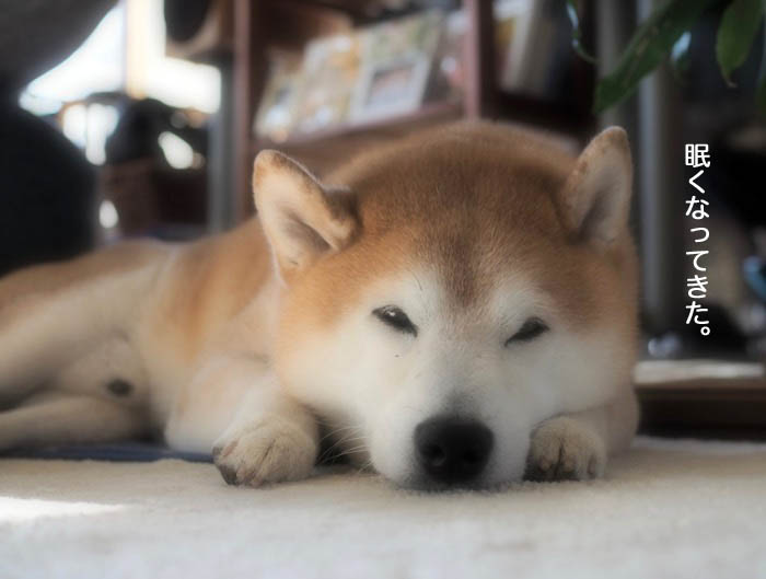 20日夜ブログ２