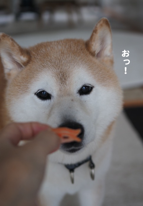 6日夜ブログ３