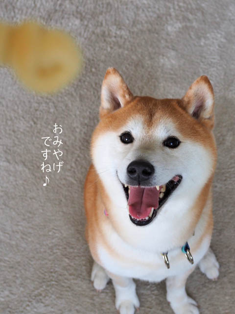 20日ブログ１７