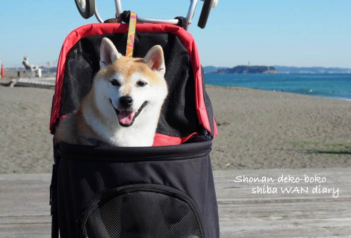 4日ブログ１