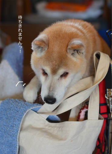 9日ブログ9.jpg