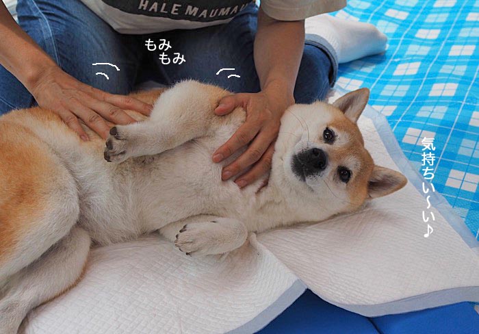 10日ブログ2