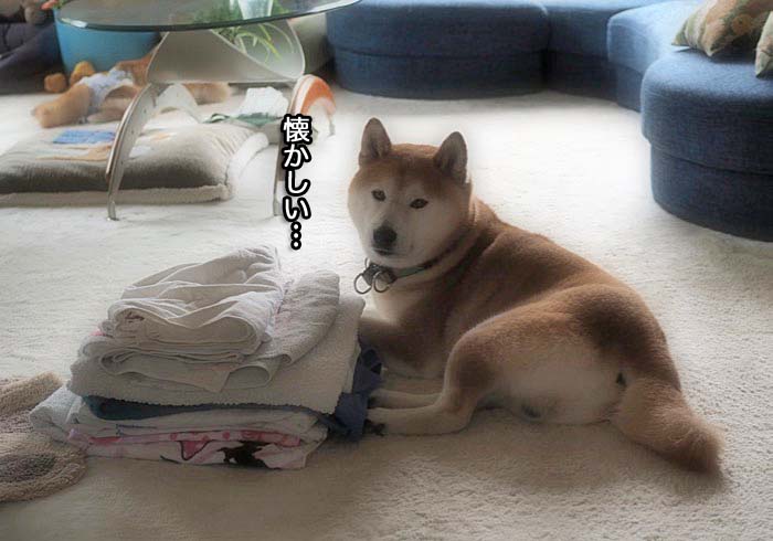 25日ブログ５