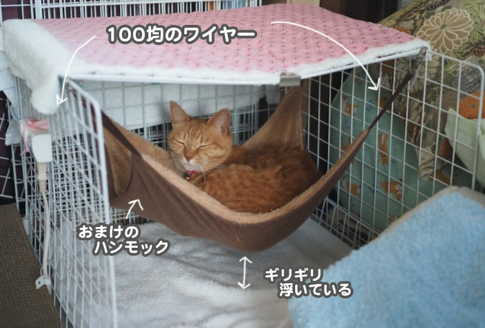 24日ブログ１