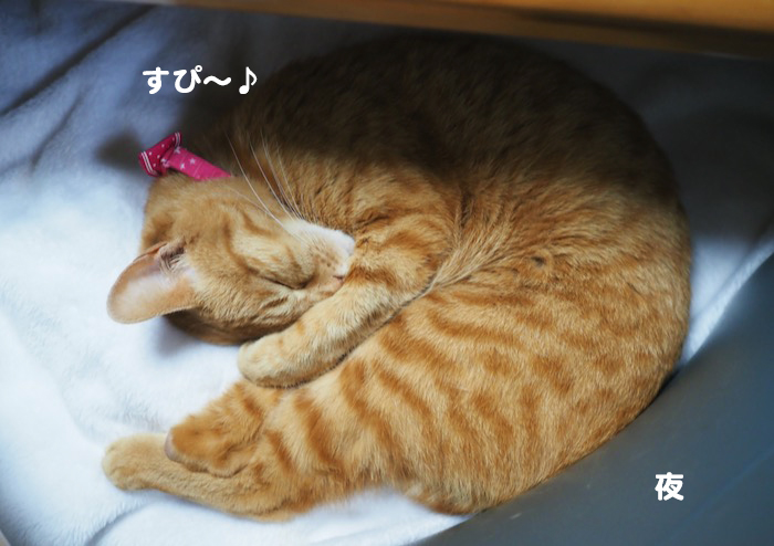 ５日ブログ２