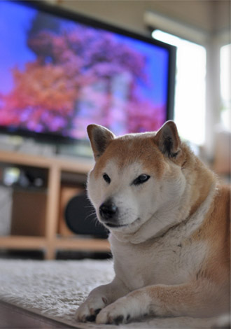 27日ブログ9.jpg
