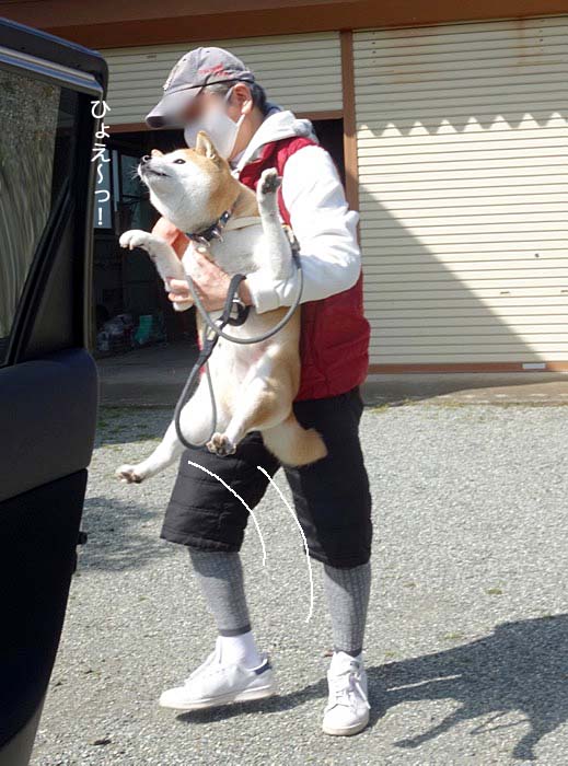 14日ブログ２