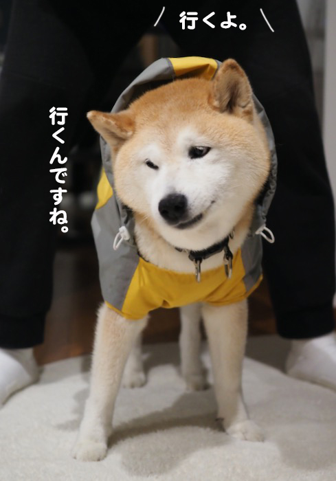 15日夕ブログ３